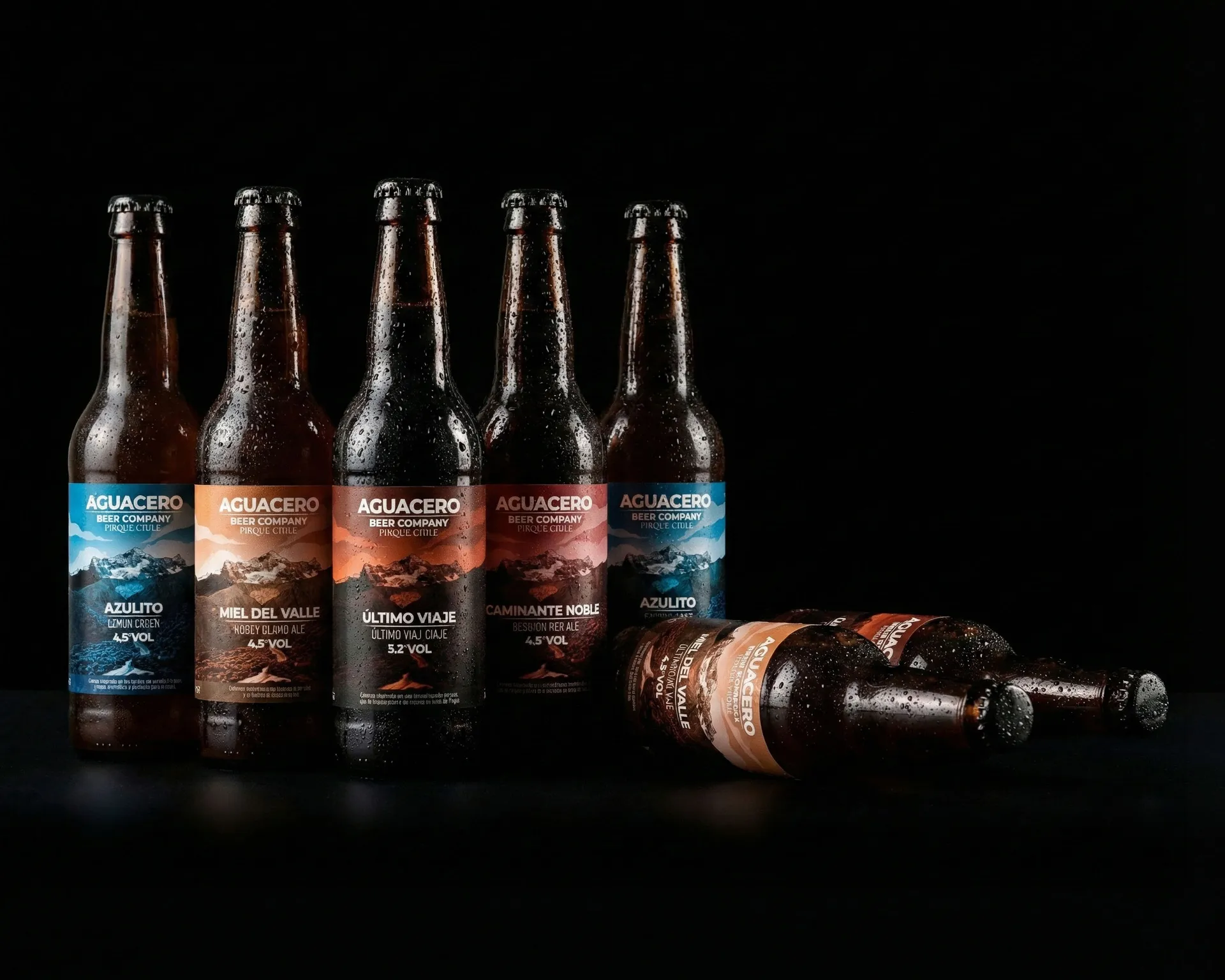 Aguacero Beer Company